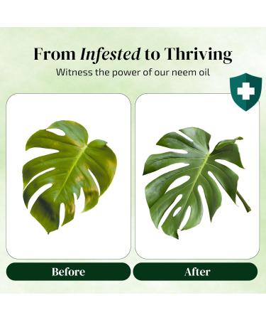 Double Trouble Neem Oil Combo with Spray Bottle & Essential Oils - Buy Online on GoSupps.com