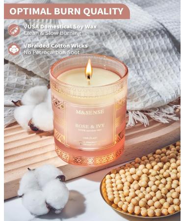 M&SENSE Rose Ivy Candle - Scented Soy Candle Gifts for Women | 45 Hour Slow Burning Aromatherapy | Luxury Home Decor & Stress Relief | Perfect Valentines Day Gifts for Her - Buy Online on GoSupps.com