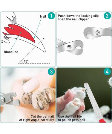 Cobee Cat Nail Clippers Professional Claw Trimmer Scissor + Pet Nail File for Cats Kittens Stainless Steel Cat Claw Clippers Scissors Trimmer Set for Small Animals Puppies Hamsters Birds(Black+Red) - Buy Online on GoSupps.com