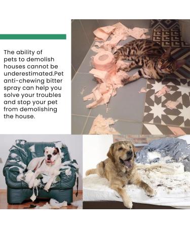 Natural No Chew Spray for Dogs | Bitter Formula to Stop Chewing | Safe Pet Spray for Furniture & Anxiety Relief - Buy Online on GoSupps.com