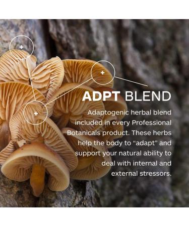 Professional Botanicals Circ-Q - Blood Circulation Support and Vein Health Supplement - 60 Vegetables Capsules - Buy Online on GoSupps.com