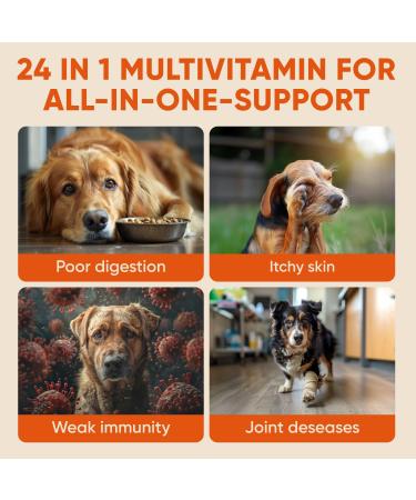 Dog Multivitamins - Soft Chewables for Dogs - Daily Essentials in Canine Support - Immune Support - Buy Online on GoSupps.com