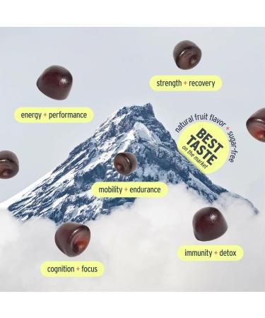 Peak Vitality Himalayan Shilajit Gummies for Strength, Energy & Optimal Health Sugar-Free, Vegan, All-Natural Cognitive Focus, Recovery, Immunity Watermelon Flavor, 60ct - Buy Online on GoSupps.com