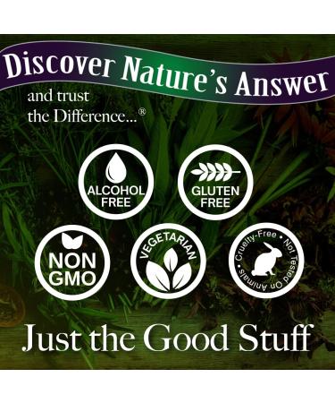 Mullein-X Throat Spray 2fl oz | Soothes Throat & Clears Mucus | Gluten-Free, Non-GMO, Vegetarian | Natural Peppermint Flavor - Buy Online on GoSupps.com