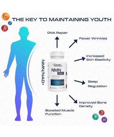 NAD 500mg Capsules 99% Purity Vegan Friendly & GMO-Free Naturally Boost Your NAD+ Levels (120 Capsules) 60 count (Pack of 2) - Buy Online on GoSupps.com