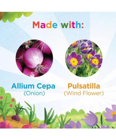 Hyland's Naturals Kids Organic Elderberry Plus Gummies + 4Kids Cold & Cough Daytime (4 fl. oz.) & Nighttime (4 fl. oz.) Value Pack Cough Syrup - 48 Vegan Kids Gummies + 8oz. Cold & Cough Syrup - Buy Online on GoSupps.com