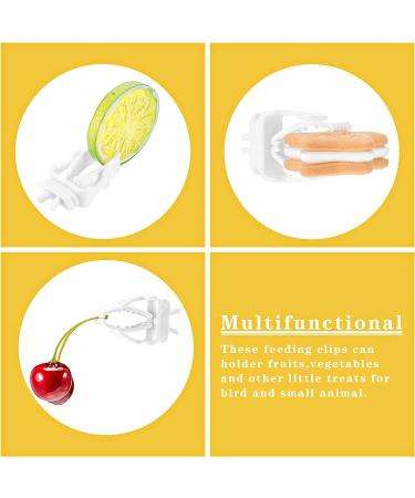 Bird Cage Food Holder Clips for Parrot, Budgie, Cockatoo - Set of 6 | Feeder Clip for Fruit, Vegetable, and Seed Treats - Ideal for Macaw, Cockatiel, Conure - Buy Online on GoSupps.com