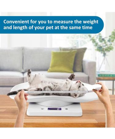 Buy Digital Pet Scales | Electronic LCD Weight Scale for Small Animals & Kitchen Use - Max 10 kg - Buy Online on GoSupps.com