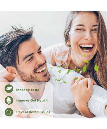Stainless Steel Tongue Scraper Set with Travel Case - Reduce Bad Breath, Metal Cleaner for Adults - 2 PCS Silver - Buy Online on GoSupps.com
