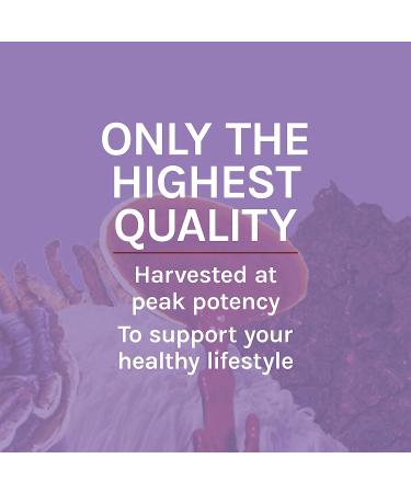 Fungi Perfecti Lion's Mane Extract - Memory & Nerve Support 1 fl oz (30 ml) - Buy Online on GoSupps.com