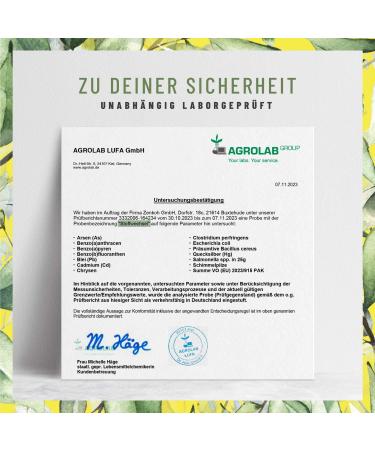 Metabolism Capsules Diet Support - High-Dose Vegan 120 Count with Green Tea Forskolin Choline & Garcinia Cambogia - Natural Loyal - Buy Online on GoSupps.com