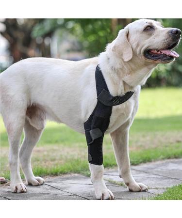 Hip Brace for Dogs Large Dog Rear Leg Support Back Leg Hip Support with Metal Strip High Elasticity Breathable Leg Protector for Recovery Period Black X-Small - Buy Online on GoSupps.com