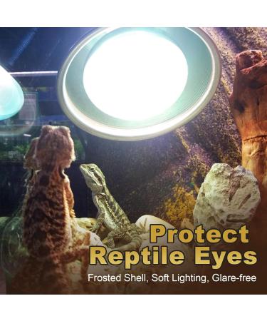 MIXJOY Reptile Heat Lamp 2 Pack 100W Reptile Heat Lamp Bulbs UVA Daylight Basking Spot Light for Reptiles and Amphibians - Lizard Tortoise Bearded Dragon - Buy Online on GoSupps.com