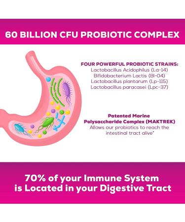 Daily Probiotic Supplement with 60 Billion CFU, Prebiotics & Acidophilus - 180 Capsules for Digestive Support - Non-GMO & Shelf Stable - Buy Online on GoSupps.com