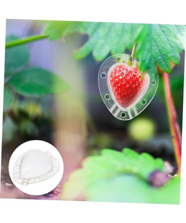 FUNOMOCYA 4pcs Strawberry Mold Small Fragrant Pear Modeling Melon - Buy Online on GoSupps.com