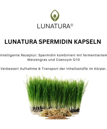 Lunatura High-Dose Spermidine - Vegan & Gluten-Free Wheat Germ Extract with Q10 | 60 Capsules | 2-Month Supply - Shop Internationally - Buy Online on GoSupps.com