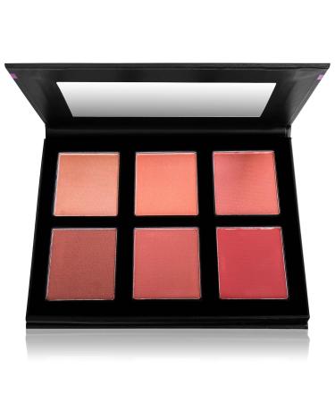 SHANY Shimmer & Matte Powder Blush Makeup Palette with Mirror - BLUSH - Powder Blush - Buy Online on GoSupps.com
