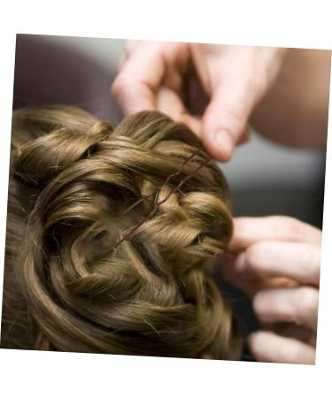 DOITOOL 3 Boxes Boxed U-clip Small Bobby Ladies Suits U Shaped Bobby Women s Suits Black Bobby Pins Bobby Pins Brown Black Barrettes Bobby Pin for Women Mini Tools Miss Metal Set Hair - Buy Online on GoSupps.com