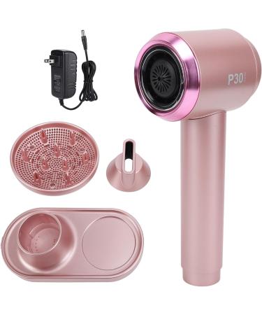 Portable Blow Dryer Hair Dryer Fast Drying Low Noise Professional for Travel (US Plug 100-240V) - Buy Online on GoSupps.com