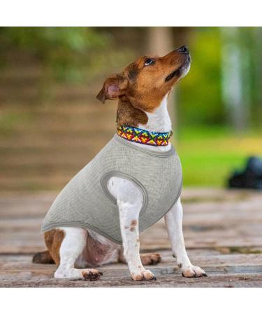 2-Pack Dog Clothing - Soft Cotton Sweaters & Shirts for Small Dogs & Cats | Air-Permeable T-Shirts for Chihuahuas & Large Breeds (Gray & Blue) - Buy Online on GoSupps.com