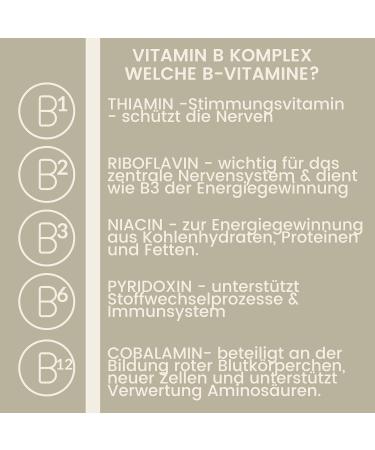 Vitamin B Complex for Horses - 1L Liquid | High Dose B1 B2 B6 B12 | Supports Muscles Immune System Nerve Energy & Metabolism - Buy Online on GoSupps.com