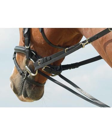 Buy BUSSE Thiedemann Combination for Warmblood - Black with Nickel-Plated Fittings | International Shipping Available - Buy Online on GoSupps.com