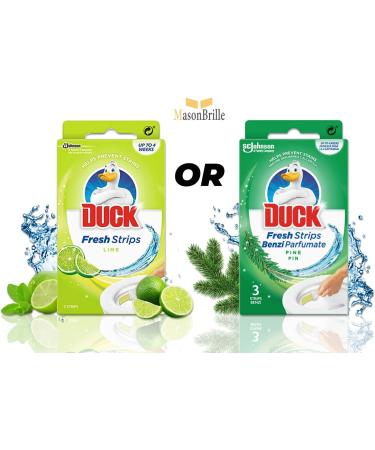 DUCK FRESH BRUSH - Toilet Bowl Cleaner - Disposable Toilet Brush - 12 Flushable Toilet Duck Fresh Brush Refills Set- Disinfecting Toilet Cleaner with Fragnance - Top Toilet Cleaning Tips - Buy Online on GoSupps.com