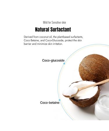JUSTBEME Houttuynia Cordata Revital Energy Gel To Foam Cleanser/Cleanser for Face Makeup Blackhead Remover Korean Skin Care (200ml / 6.76 fl oz) - Buy Online on GoSupps.com