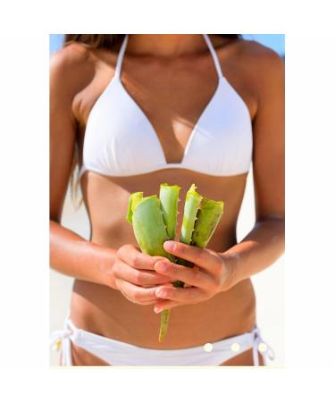 Aloha Aloe Hawaii Aloe Vera Gel Cools Soothes Moisturizes Fragrance Free 4 oz - Buy Online on GoSupps.com