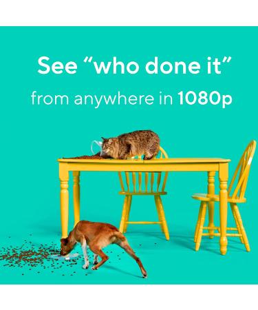 Wyze Cam v3 Wired 2.4GHz Wi-Fi Pet Camera - Indoor/Outdoor Home Security Camera for Pets, Kids & Elderly - Works with Alexa, Google Home & IFTTT - V3 Only - Buy Online on GoSupps.com