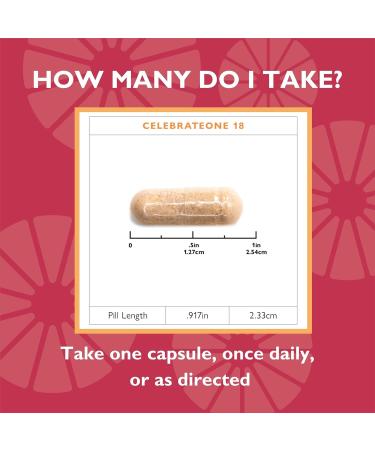 Celebrate Vitamins CelebrateONE 18 18mg Iron - Once Daily Bariatric Multivitamin Essential Vitamins & Minerals - Gastric Bypass & Sleeve Gastrectomy Supplement (30 Capsules) 30 Count (Pack of 1) - Buy Online on GoSupps.com