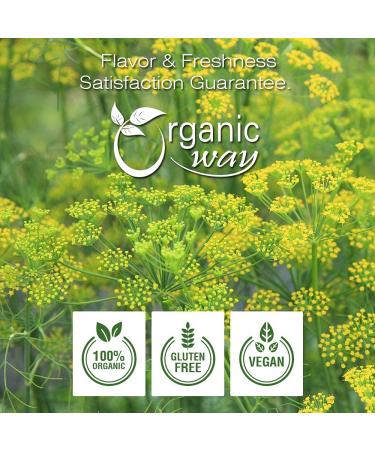 Organic Fennel Seed Powder - Digestive Aid | Raw, Vegan, Non GMO | USDA Certified | 1lb (16oz) | From India - Buy Online on GoSupps.com