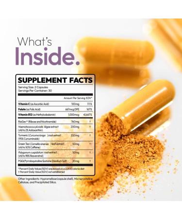 O'blossom Liver Protect Liver Cleanse Drops with Milk Thistle - Clinically Studied for Rapid Relief - Supports Post-Party Recovery & Heavy Meal Digestion - 60 Capsules - Buy Online on GoSupps.com