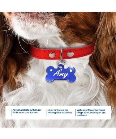 Personalized Bone-Shaped Pendants for Dogs & Cats | Ibera Gifts - Custom Engraved Collars in Blue with Hearts - Buy Online on GoSupps.com