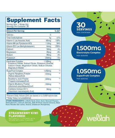 Buy Splish Splash Hydration Electrolyte Drink Mix - Strawberry Kiwi Flavor | 30 Servings | International Shipping - Buy Online on GoSupps.com