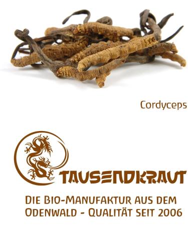 Cordyceps Bio Powder 200g - Premium EU Production - Sustainable German Brand - High Safety Standards - Wildcrafted from Slovenia - Buy Online on GoSupps.com