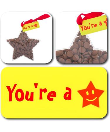 ButtonChocs You're A Star Chocolate Star. Belgian Milk Chocolate Gift. Thank You Gift Well Done Gift Exam Gift Teacher Gift. - Buy Online on GoSupps.com