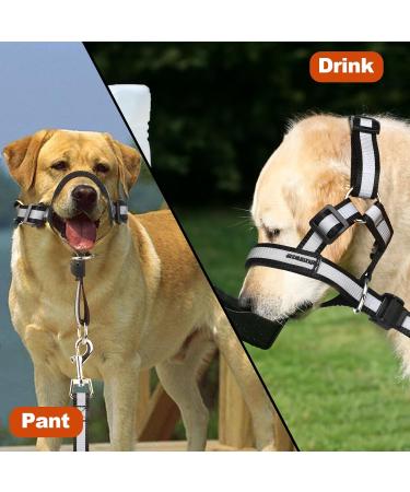 Dog Head Collar No Pull Gentle of Leader for Dogs Adjustable Dog Head Halter Reflective Anti-Pull Muzzle Leash Dog Nose Strap Easy to Control When Walking (Size L) - Buy Online on GoSupps.com