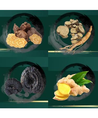 Ginger Plant Extract Anti-Hair Loss Hair Shampoo 240ml Ginger Shampoo for Hair Growth Oil Control Hair Care Plant Shampoo (1pc) - Buy Online on GoSupps.com