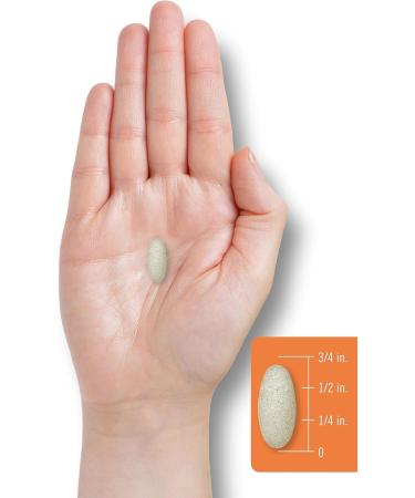 Carlyle Vitamin C 1000mg | with Rose Hips and Citrus Bioflavonoids | 250 Caplets | Vegetarian Non-GMO Gluten Free Supplement - Buy Online on GoSupps.com