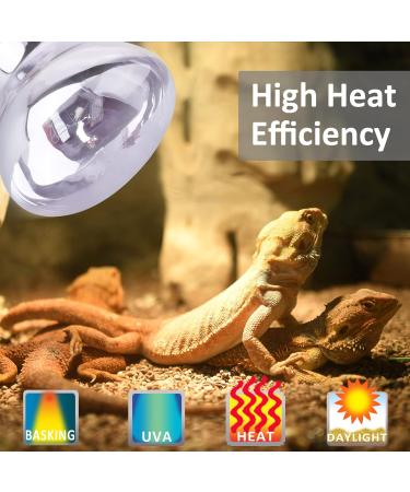 DERNORD Reptile Basking Heat Lamp 100W - 2-Pack for Lizards Turtles & Bearded Dragons - Ideal Heat Bulb Solution - Buy Online on GoSupps.com