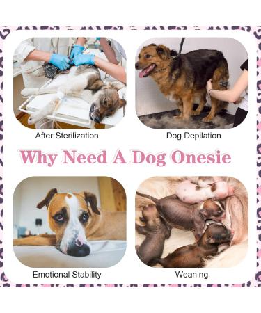 Kuoser Dog & Cat Recovery Bodysuit - Post-Op Surgery Wear Breathable & Anti-Lick Design for Male & Female Pets - Buy Online on GoSupps.com