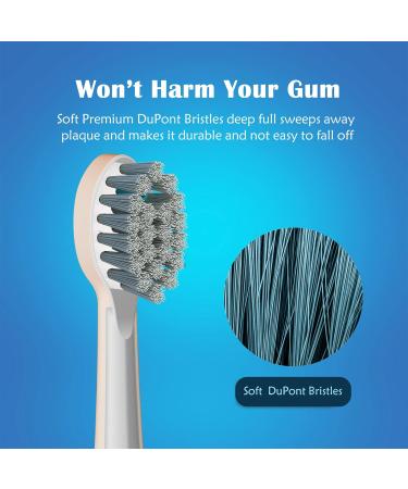 5 Count Replacement Flossing Toothbrush Heads for Water Pick SF-01/SF-02/SF-03/SF-04, Compact Design, White - with Crystal Cap - Buy Online on GoSupps.com