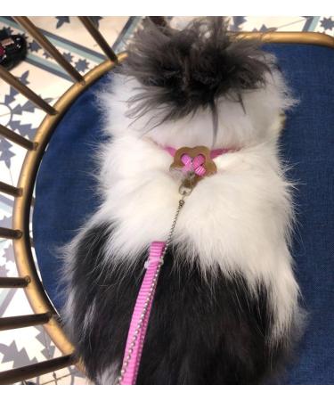 Harness for Ferret Baby Rabbit Hamster Rat Mouse Leash Lead with bell (Green) - Buy Online on GoSupps.com