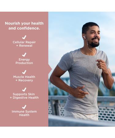 JSHealth x FitOn Vegan Pea Protein Powder with Probiotics - Gluten Free Non GMO Plant Based Protein Drink Mix - 450g Cinnamon Roll - 15.87 Ounce - Buy Online on GoSupps.com