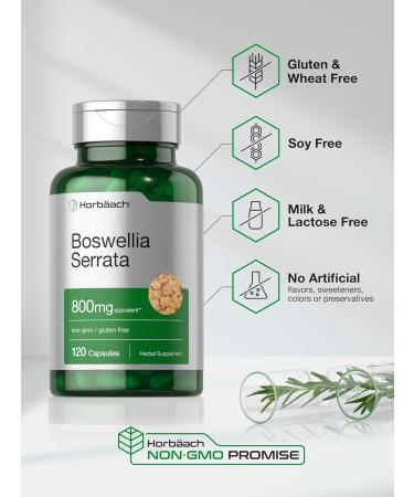 Horb ach Boswellia Serrata Extract Capsules | 800mg | 120 Count | Herbal Supplement | Non GMO Gluten Free - Buy Online on GoSupps.com