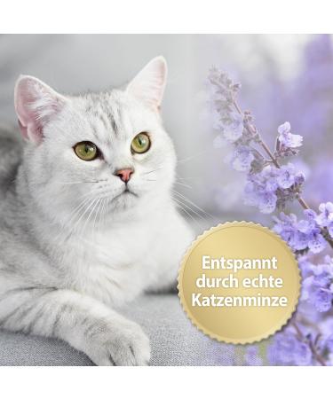 Felisept Home Comfort Catnip Spray 100ml - Natural Sedative & Anti-Scratch Solution for Cats - Buy Online on GoSupps.com
