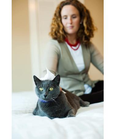Earthbath Fragrance-Free Hypo-Allergenic Cat Wipes with Aloe Vera & Vitamin E - 100 Count (Pack of 2) | Gentle Cleaning for Sensitive Skin and Allergies - Buy Online on GoSupps.com