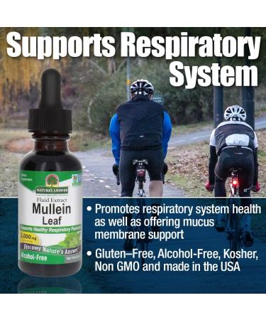 Nature's Answer Mullein Leaf Herbal Supplement 1oz (2 Pack) | Supports Respiratory Function, Mucous Membranes | Non-GMO, Kosher, Gluten-Free, Alcohol-Free - Buy Online on GoSupps.com