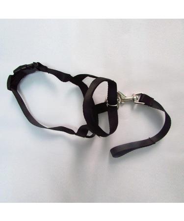JimAndAlice Adjustable Harness Gentle Leader Belt For Dog Collar Dog Halter Head Collar Training Leash Leader No Pull Bite Straps Black S - Buy Online on GoSupps.com